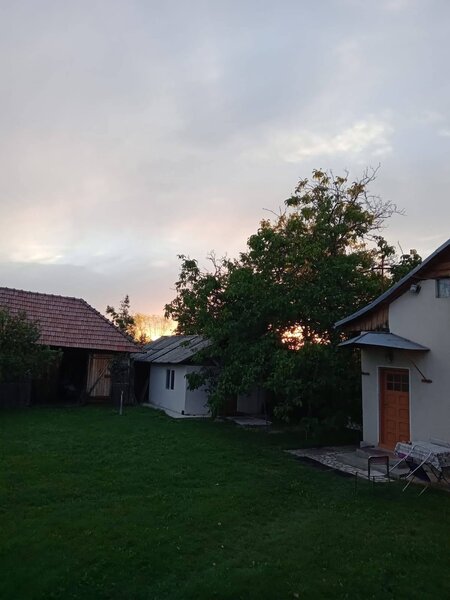 Danicei